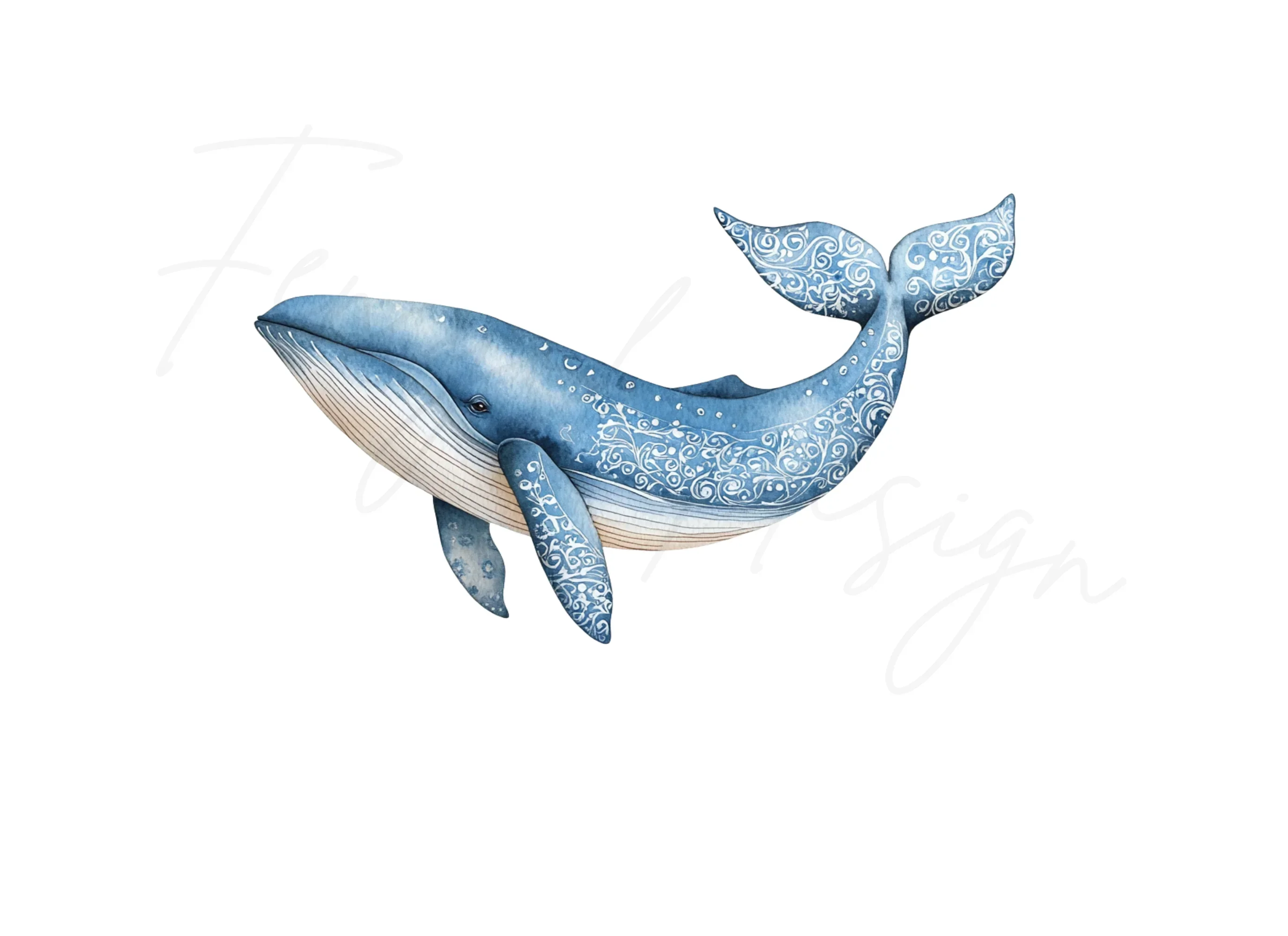 Whale Clipart Bundle - Image 2