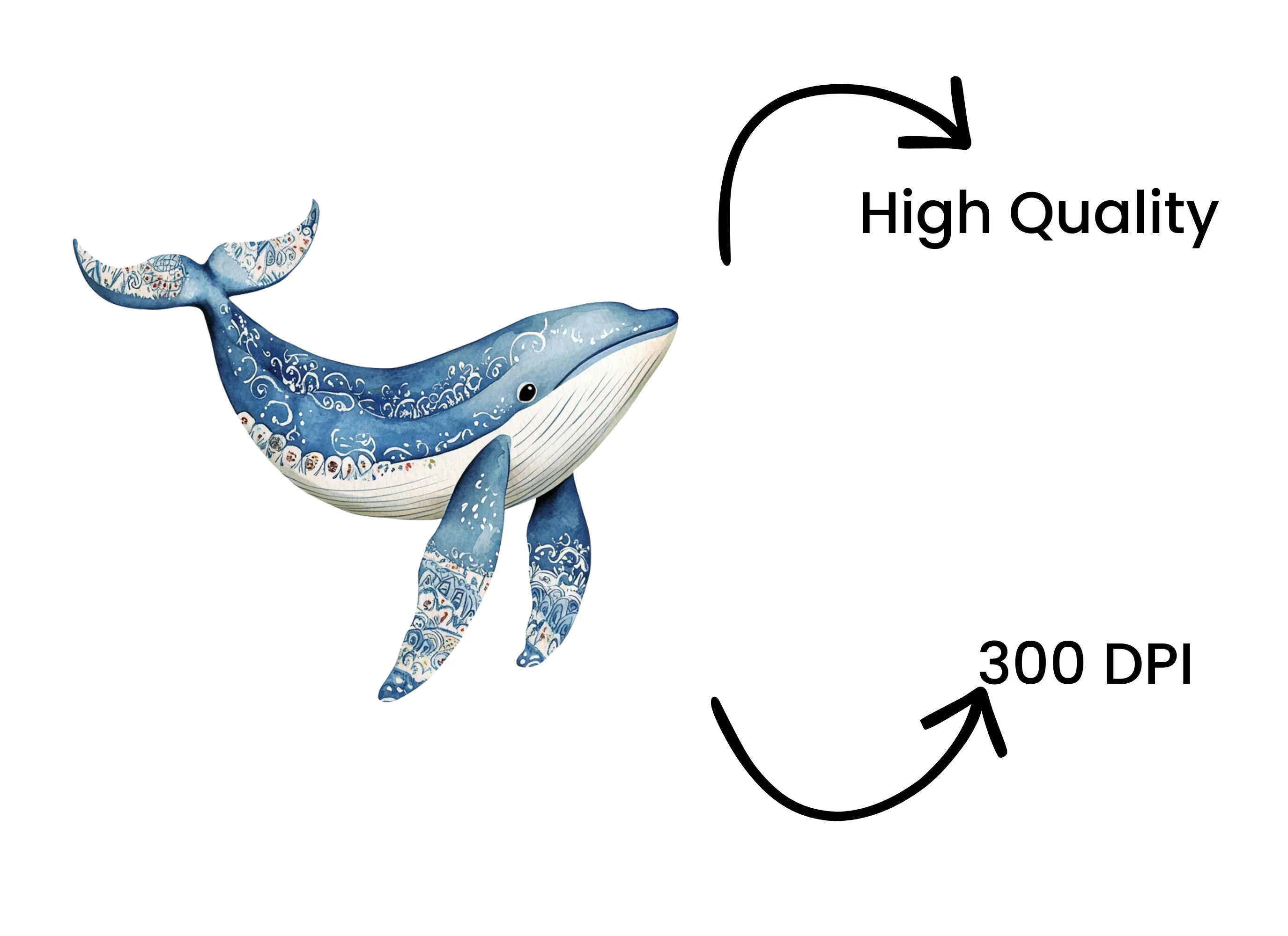 Whale Clipart Bundle - Image 4