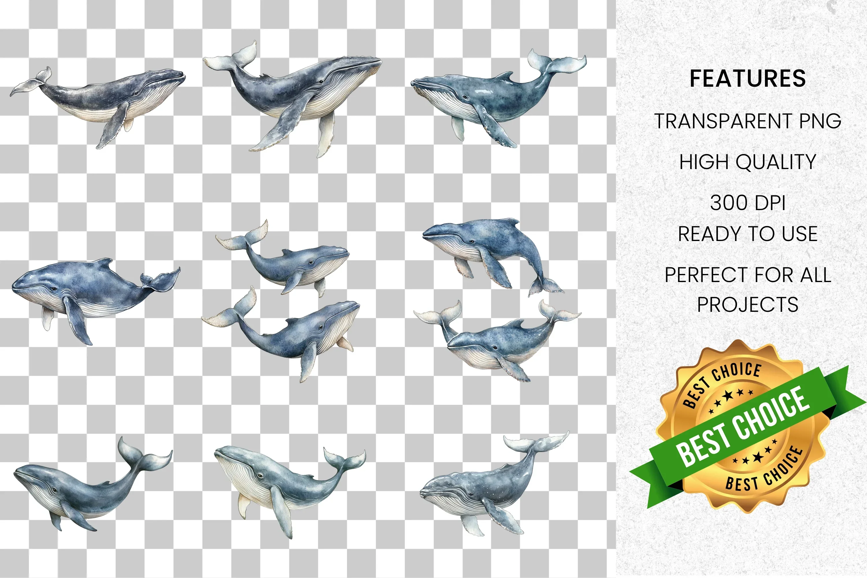 Whale Clipart Bundle - Image 2