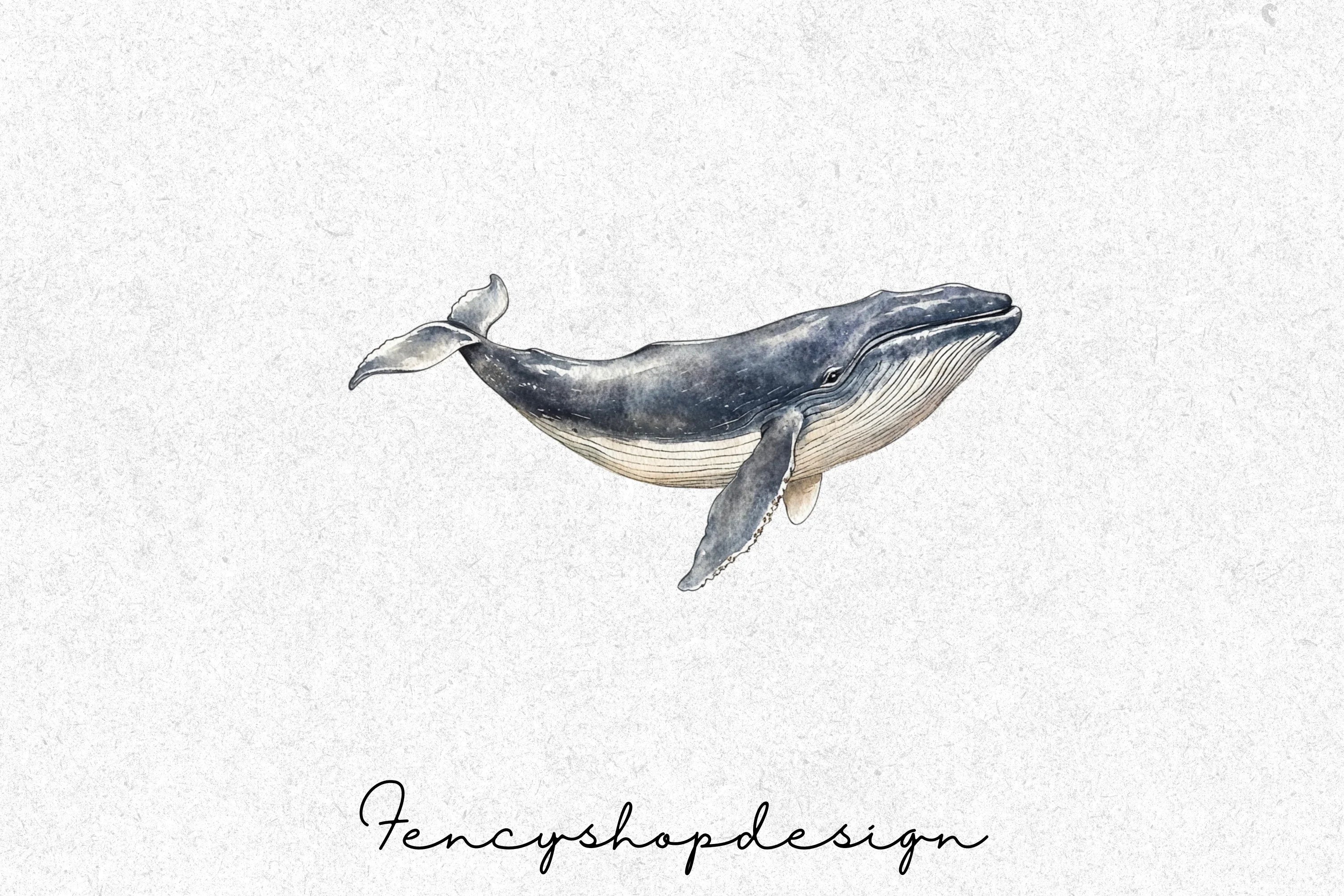 Whale Clipart Bundle - Image 3