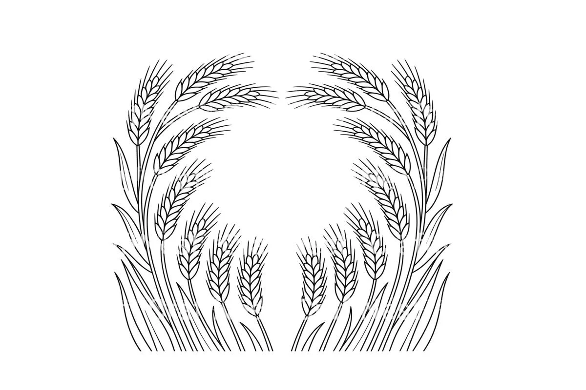 Wheat Ears Harvest Coloring Books - Image 2