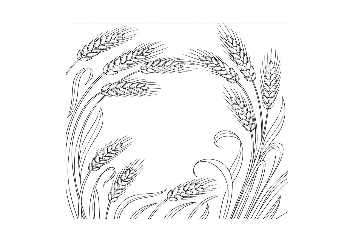 Wheat Ears Harvest Coloring Books - Image 4
