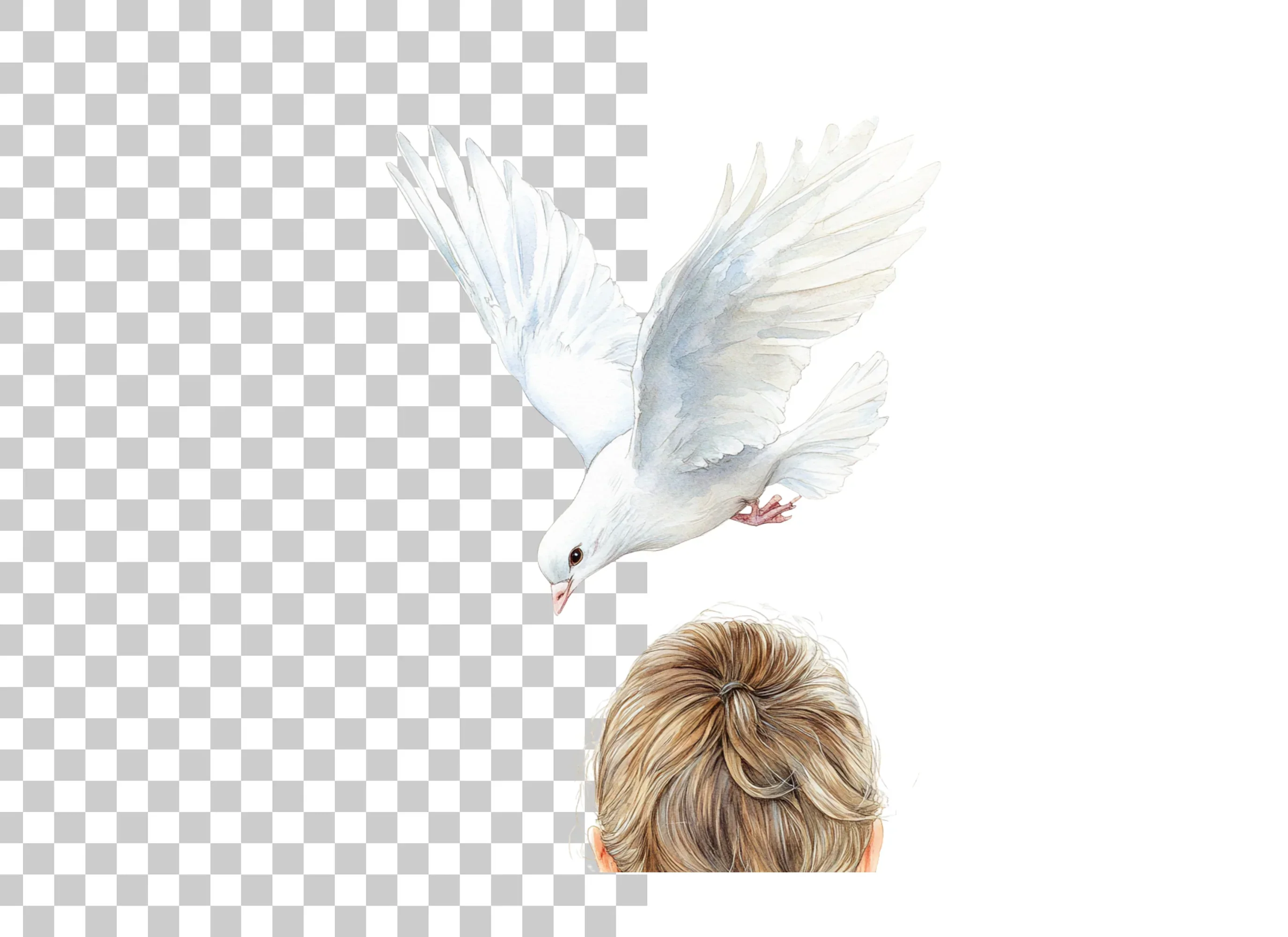 White Dove and Hair Clipart Bundle - Image 2