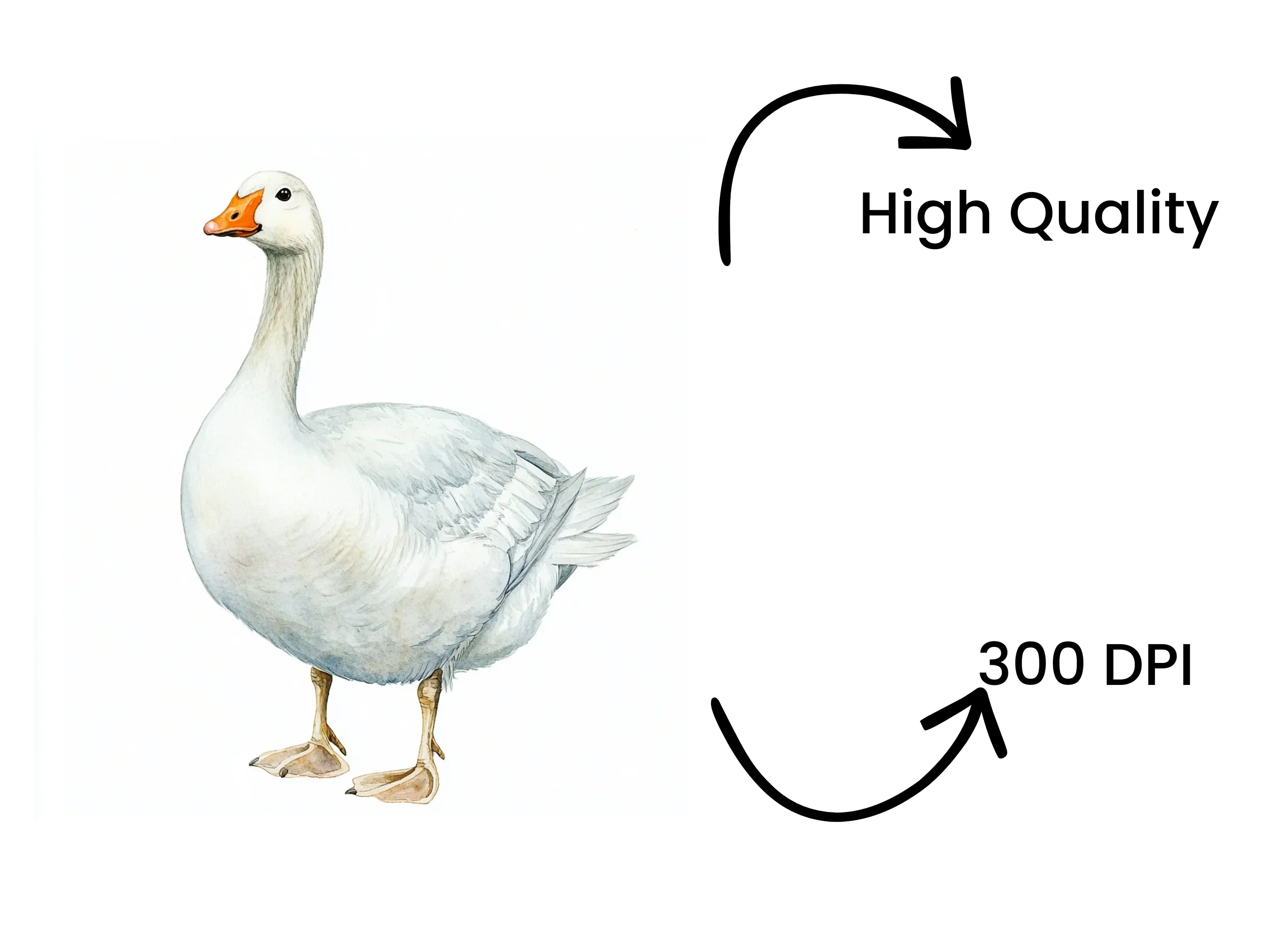White Geese Clipart Bundle - Image 4
