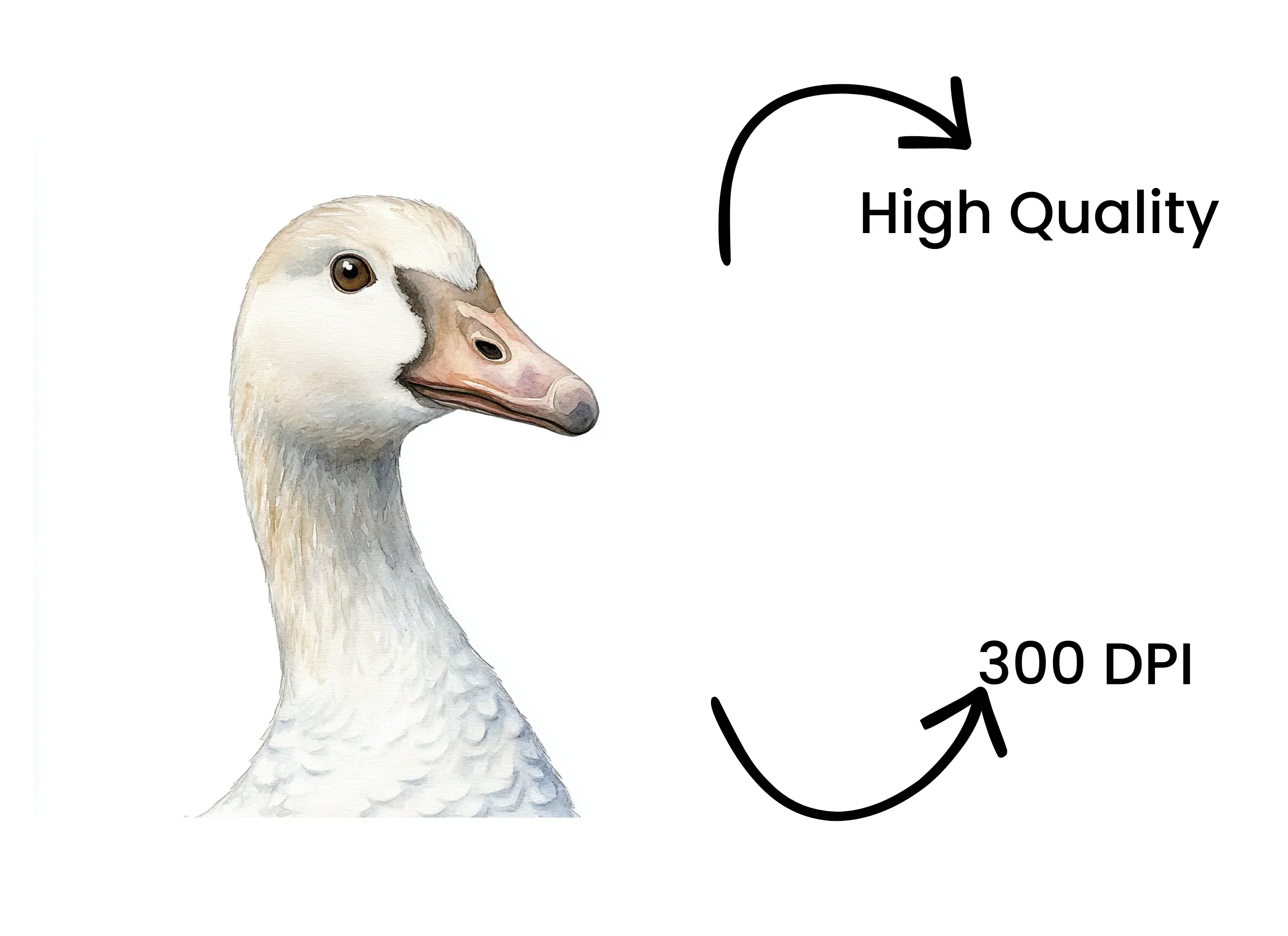 White Goose Head Clipart Bundle - Image 4