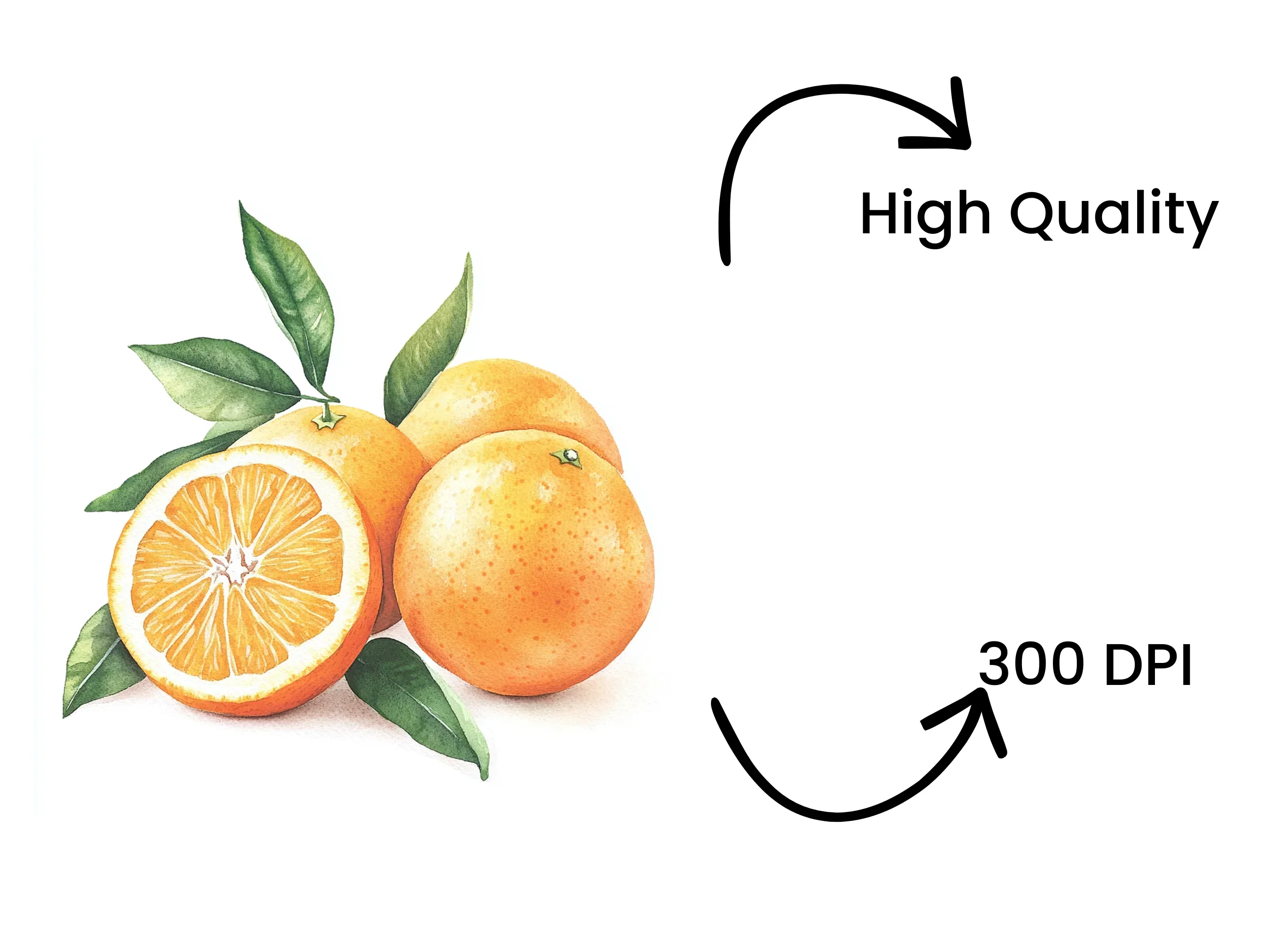 Whole and Sliced Oranges with Leaves Clipart Bundle - Image 4