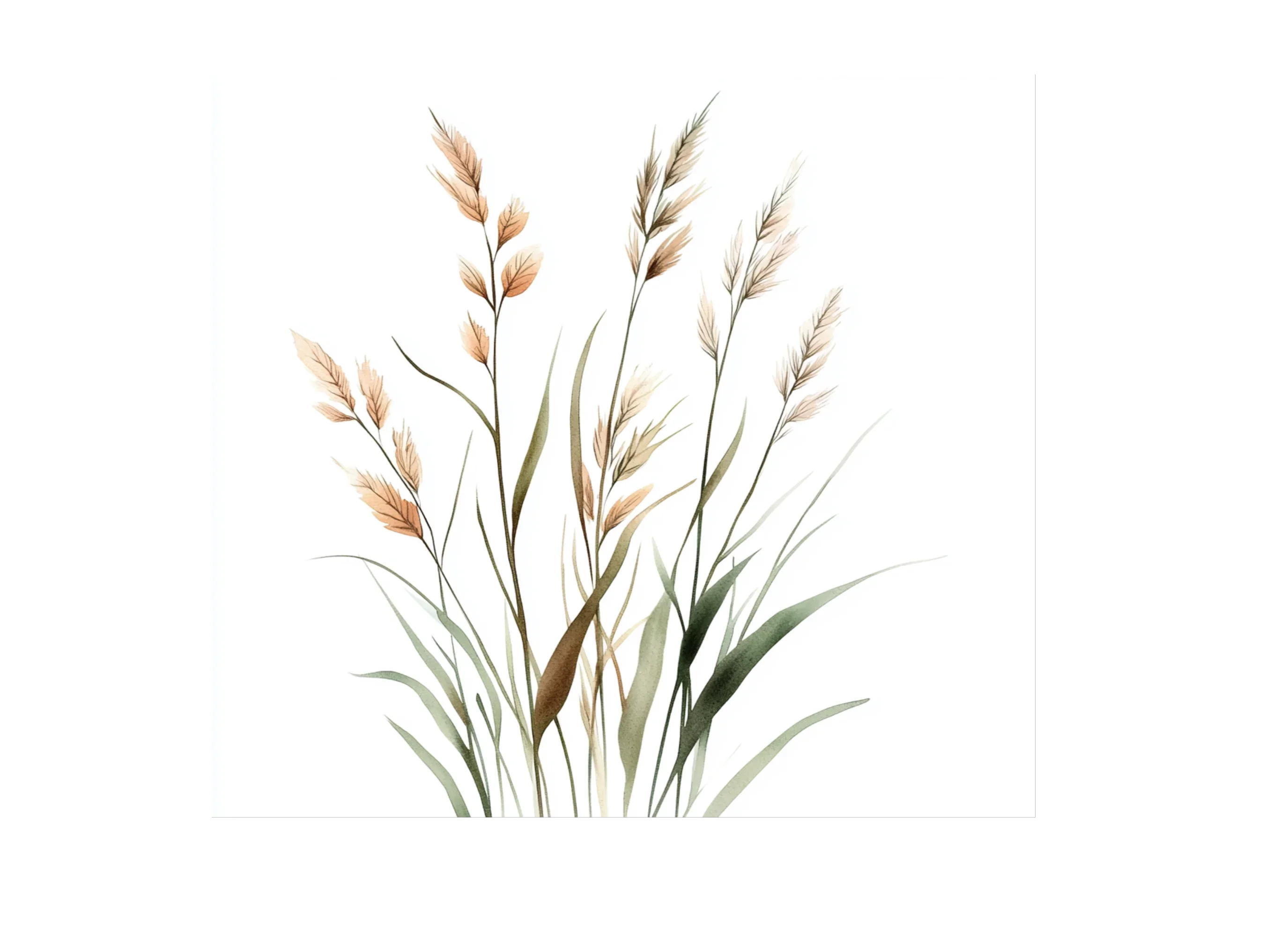 Wild Grass Clipart Bundle - Image 2
