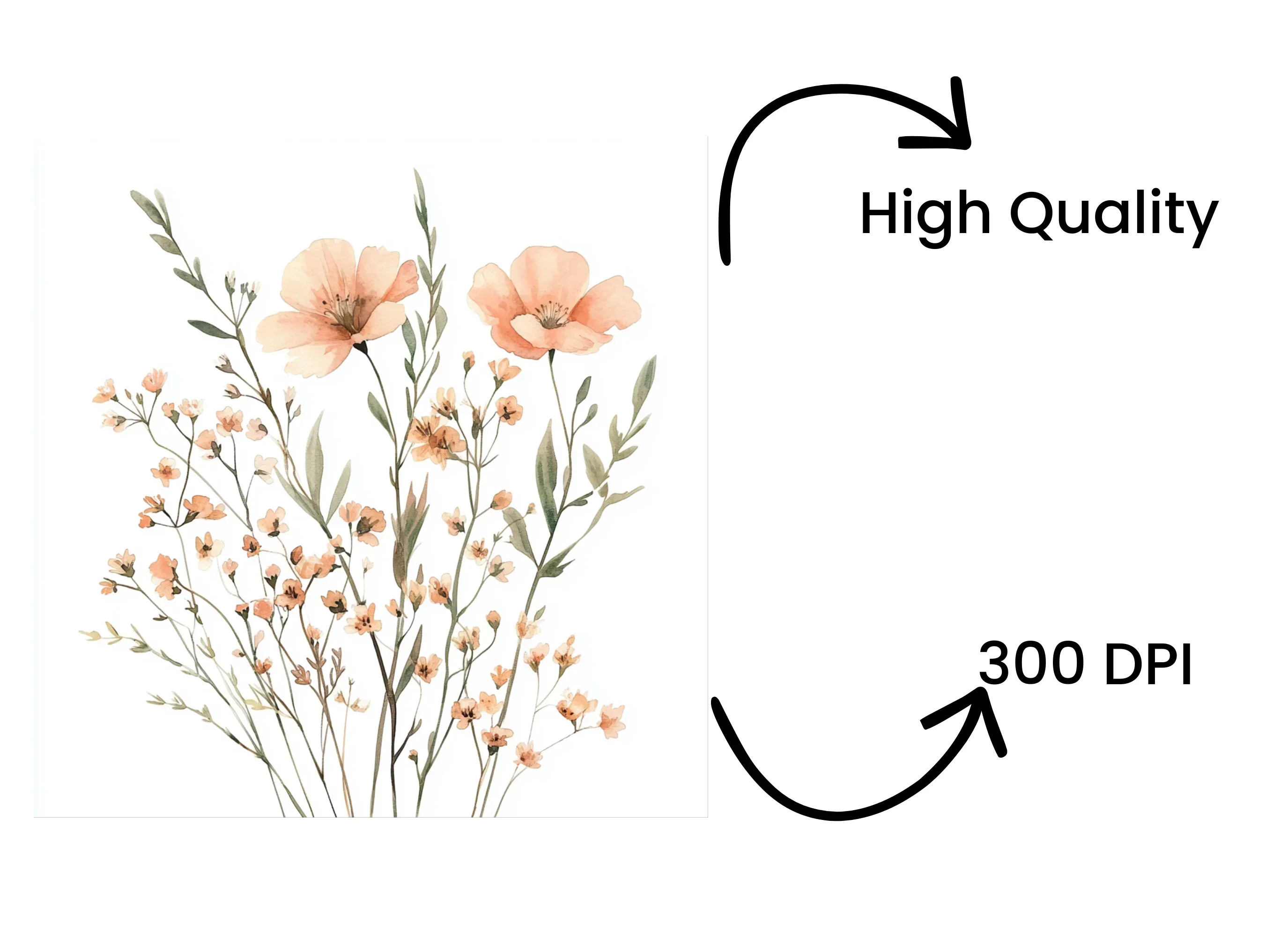 Wildflower Clipart Bundle - Image 4