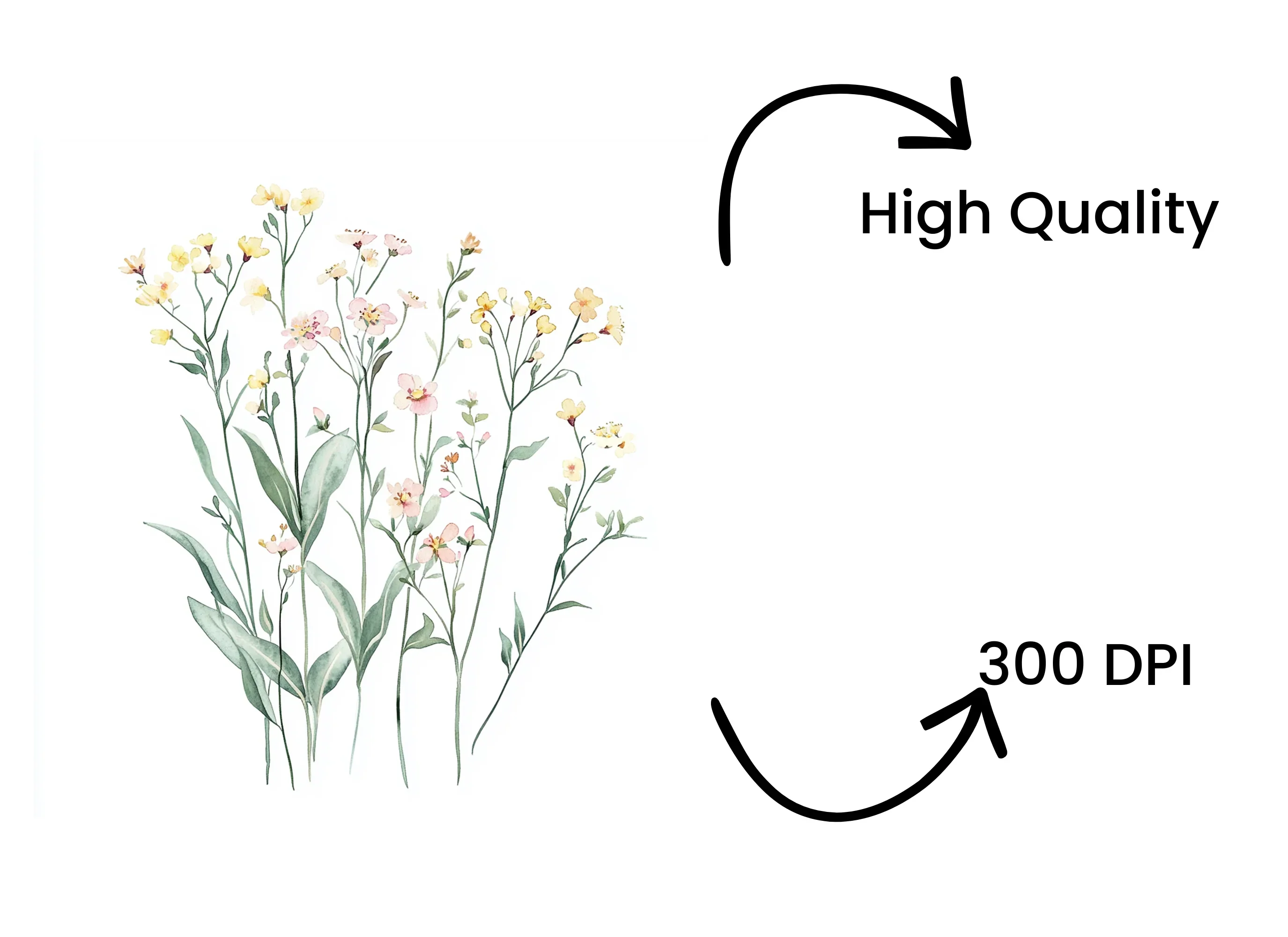 Wildflower Clipart Bundle - Image 4