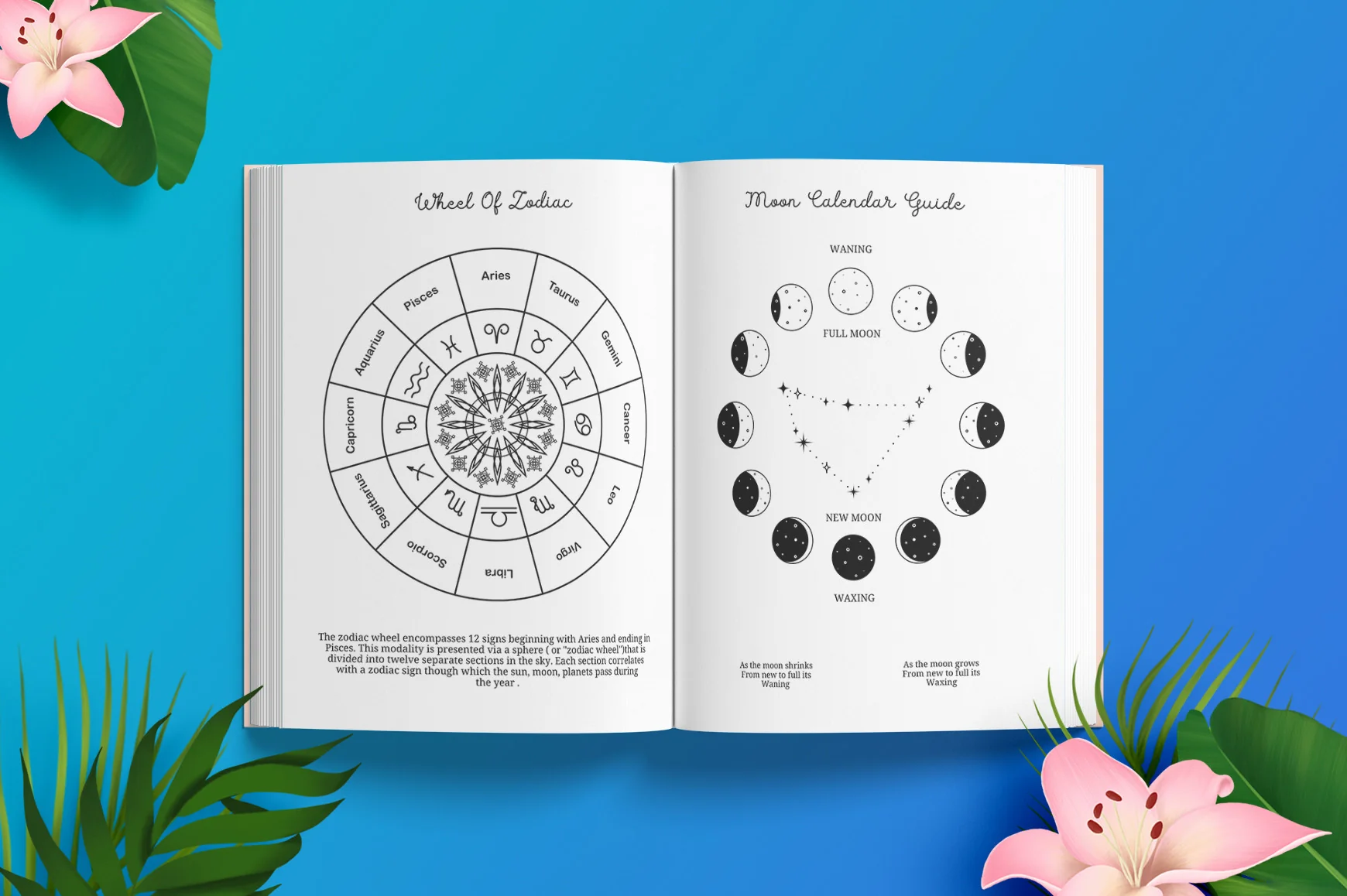 Witchy Planner - Image 4