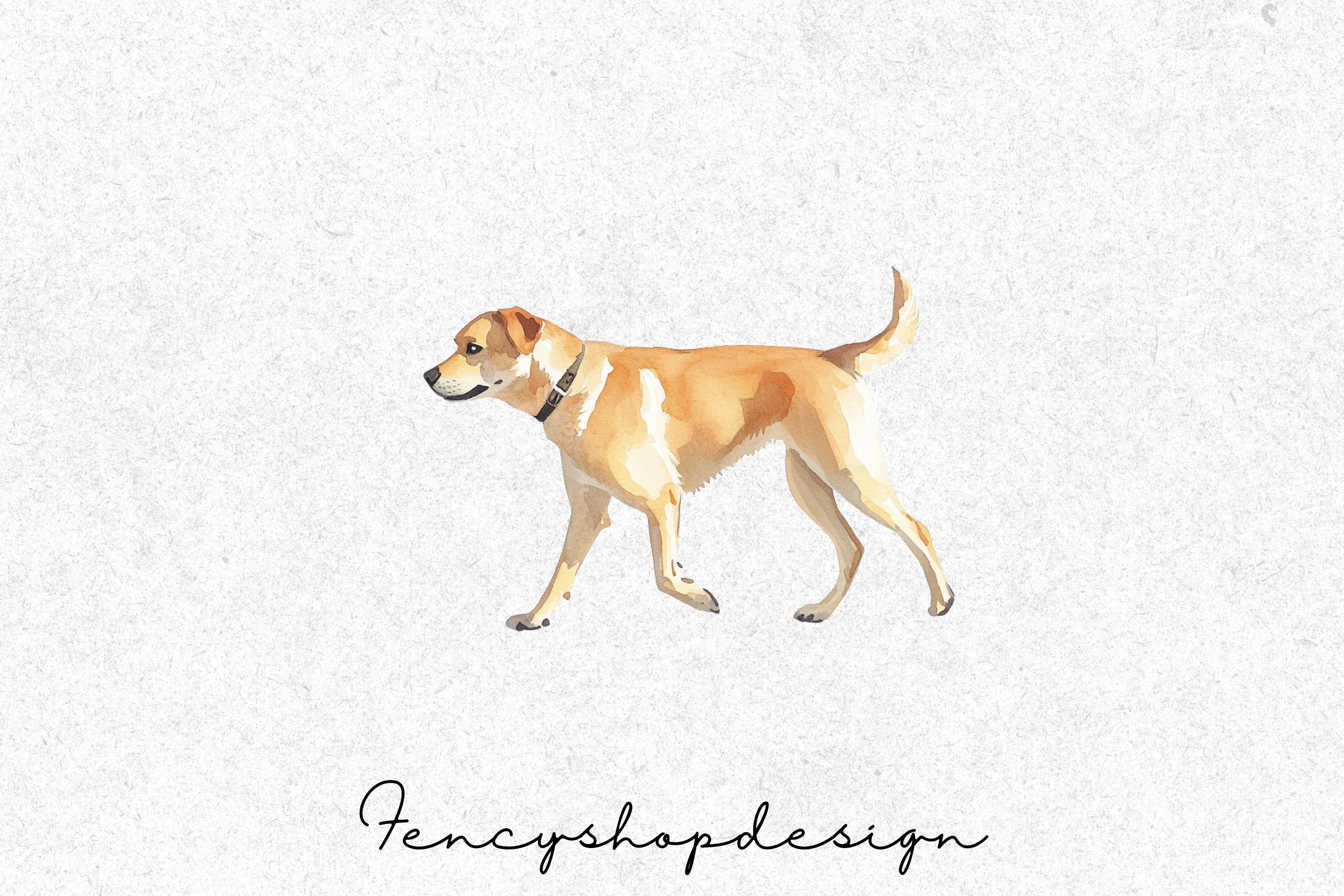 Woman Walking Dog Clipart Bundle - Image 3
