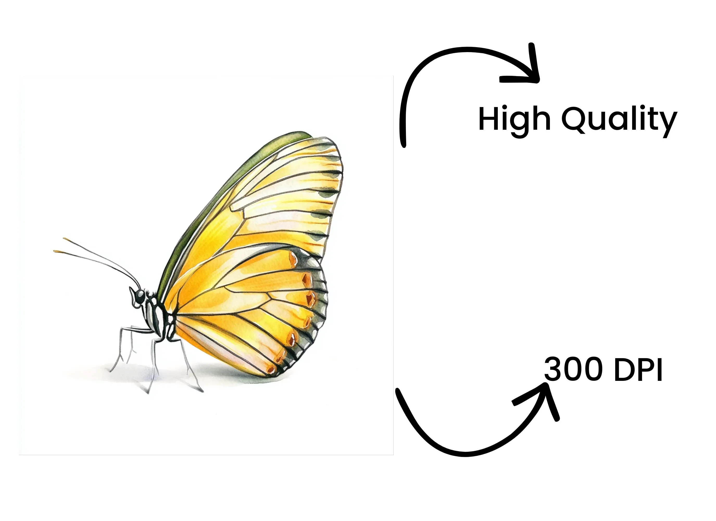 Yellow Butterfly Clipart Bundle - Image 4
