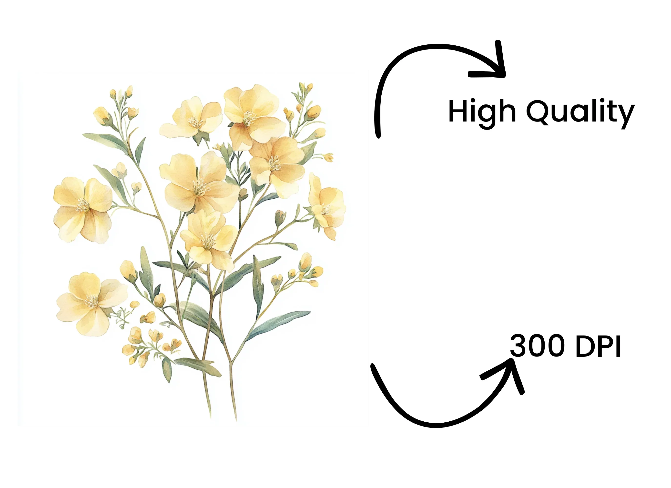 Yellow Flowers Clipart Bundle - Image 4