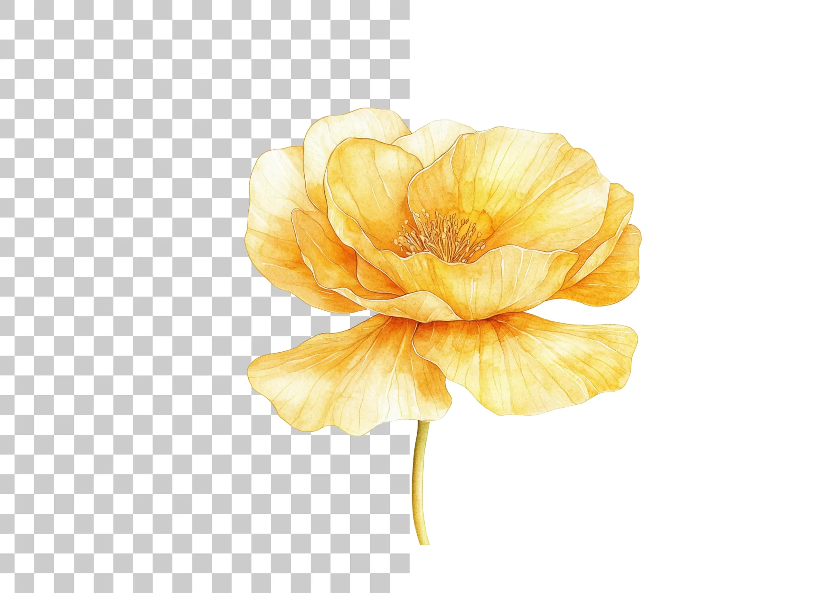 Yellow Poppy Flower Clipart Bundle - Image 3