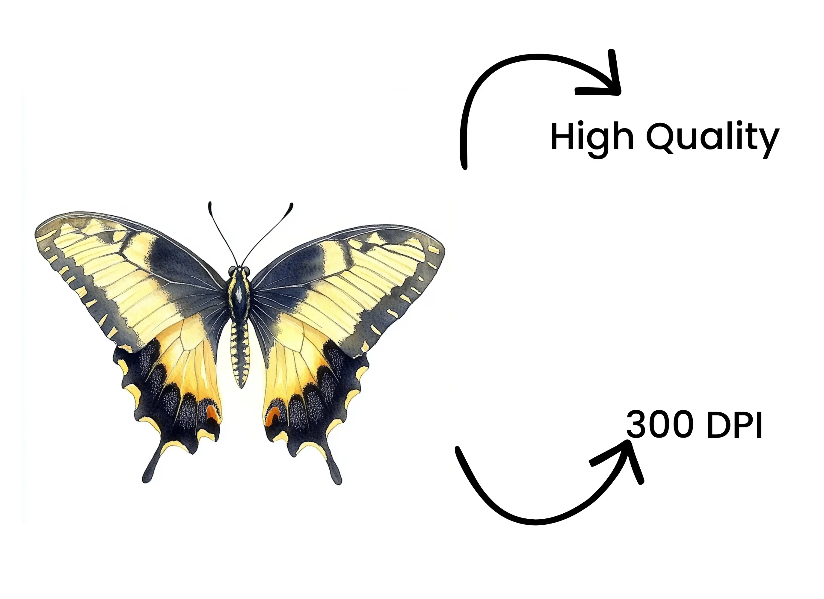 Yellow Swallowtail Butterflies Clipart Bundle - Image 4